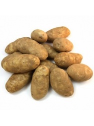 11159